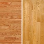 Red Oak vs White Oak: Knowing the difference