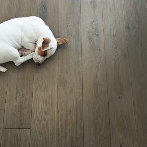 Best Flooring For Dogs: Things To Keep In Mind When Choosing New Flooring