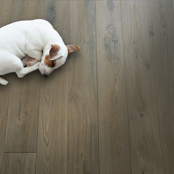 Best Flooring For Dogs Things To Keep, What Is The Hardest Wood Flooring For Dogs