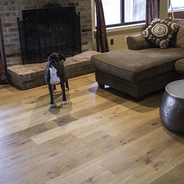 Best Flooring for Dogs: Things to Keep in Mind - Hardwood Bargains Blog